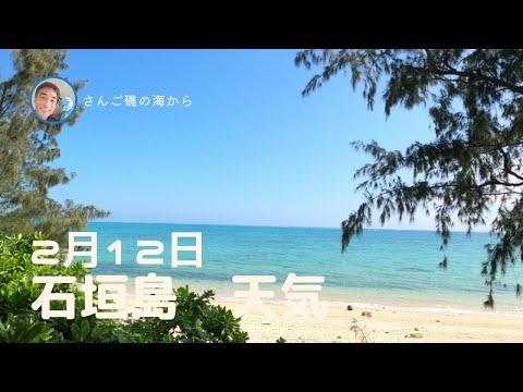 【石垣島天気】2月12日12時ごろ。15秒でわかる今日の石垣島の様子。