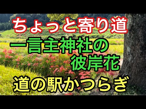 【ちょっと寄り道】一言主神社の彼岸花と道の駅かつらぎ