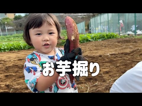 First time digging for sweet potatoes 🍠 Tom is more worried about the bugs than the sweet potatoes😅