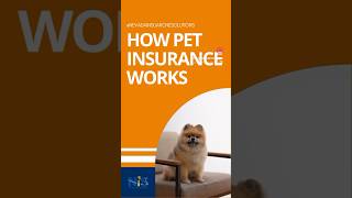 How pet insurance works #petcare #insuranceagent #pethealth