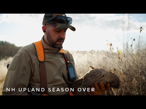 Season Over - New Hampshire Upland Hunting