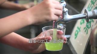 島田市緑茶化計画「小学校に緑茶の水道がある」編 Shimada City, Japan