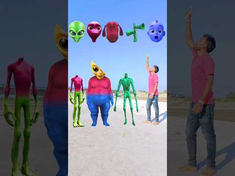 Dancing dame tu cosita and fat dog & green siren & me correct head new matching vfx video #trending