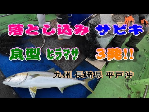 Drop-in sabiki (3 yellowtails!) (off the coast of Hirado, Nagasaki Prefecture, Kyushu)