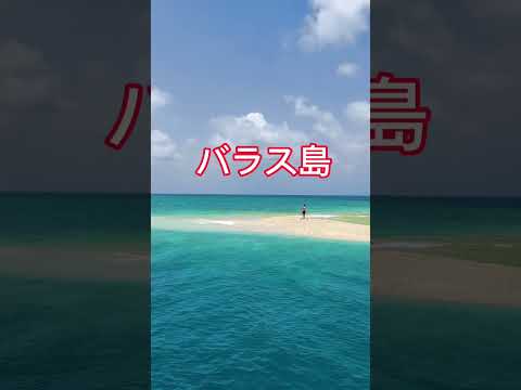 西表島の幻の島を知っていますか⁉️🏖 #おすすめ #自然 #海 #西表島 #shorts