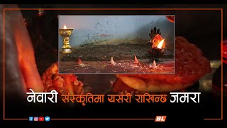 नेवारी संस्कृतिमा यसरी राखिन्छ जमरा || How Jamara is kept in Newari culture || Dashain 1st