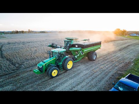 Making a Run on Soybeans