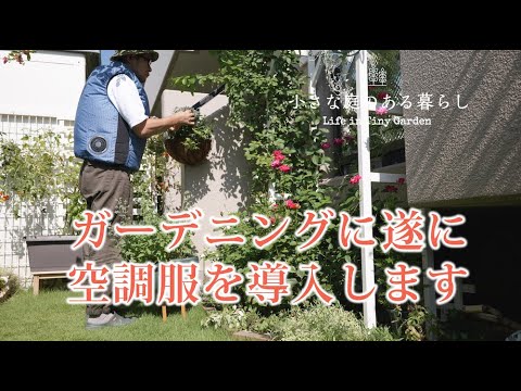 ガーデニング｜暑さ対策の秘密兵器を導入しました｜ 〜小さな庭のある暮らし#82 〜Gardening ｜ ife in a tiny garden