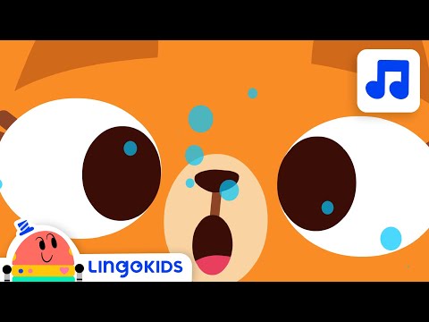 THE POO SONG 💩🎶 Potty Training Song for kids | Lingokids