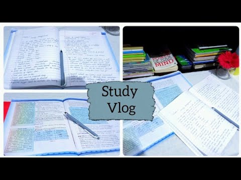 A Productive Study Vlog || Study with me || My Lifestyle