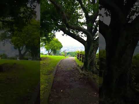 【癒し動画】熊本県玉名市　げんやま展望公園　#五木ひろし　#shorts