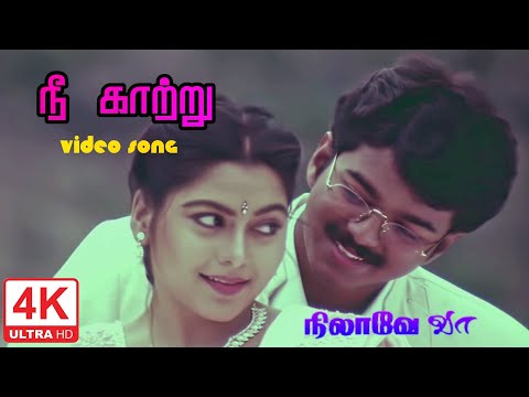 Nee Kaatru Naan Maram Song | Nilave Vaa Songs HD 4K | நிலவே வா Movie Songs | நீ காற்று நான் மரம் 4K