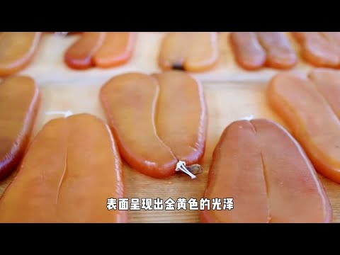 美食界黑色黄金乌鱼子，感受独特的海洋风味和肥美丰腴的鱼卵