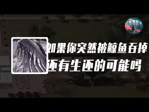 如果地球上所有男人突然消失，會發生什麼事？人類還能繁衍後代嗎？