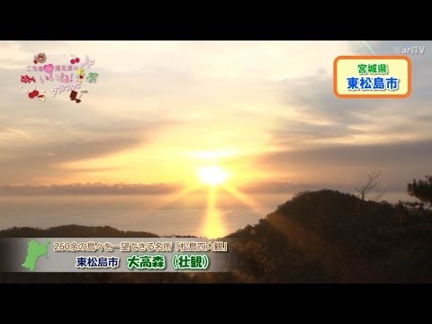 【大高森】カジュアルトレッキングの果てに絶景あり／ご当地観光課のいいね！vol.32（東松島市）