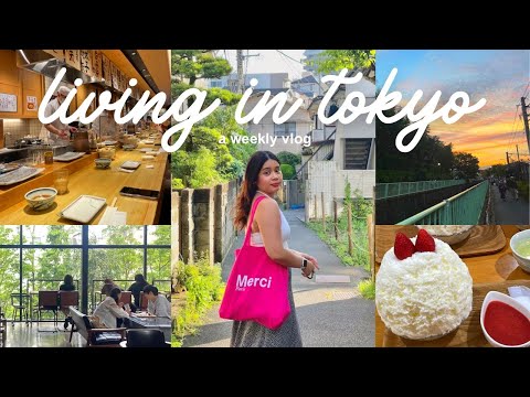 Life in Tokyo, Japan VLOG | let's catch up, trying new restaurants