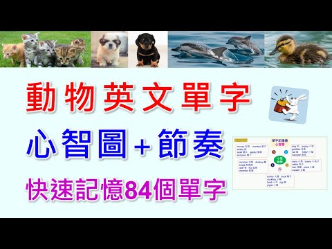 動物英文單字-獨創的節奏心智圖，好念好記好有趣，打著節拍，跟著接奏，6分鐘輕鬆又快速的記憶最常見的動物英文單字。