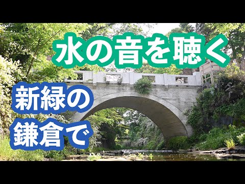 初夏の鎌倉 滑川 東勝寺橋