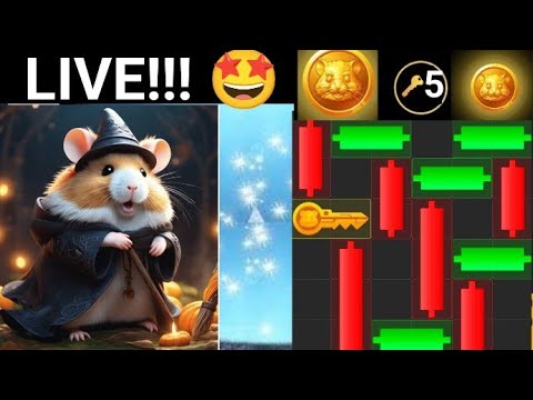 mini game!! hamster Kombat SOLVED in 8 seconds 😁🤩😁🔐🐹 July 24