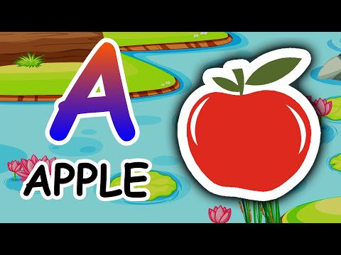 Best Kindergarten Learning Video | Nursery Baby Educational | toddler kids abcd for preschool