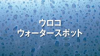 シュアラスター　ゼロウィンドウ　ストロングリセット