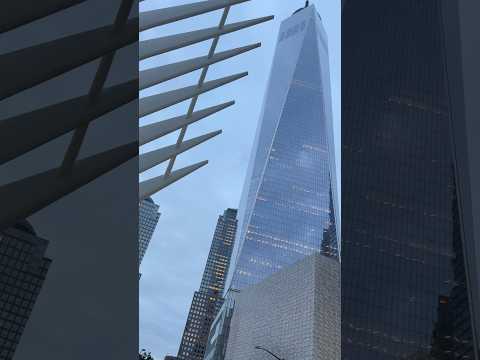 The Oculus, with its bird-like wing design, stands near One World Trade Center in New York City!