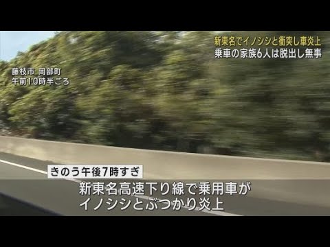 イノシシとぶつかったとみられる乗用車が炎上　乗っていた６人は脱出し無事　静岡・新東名高速