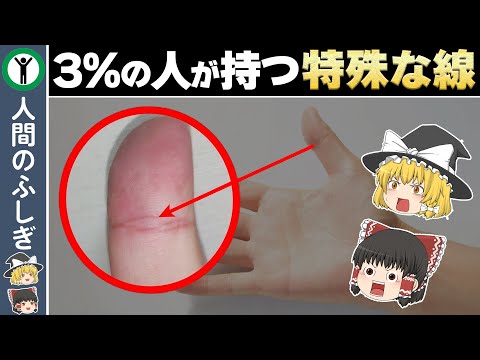 あなたに霊感があることを示す7つの特徴【ゆっくり解説】