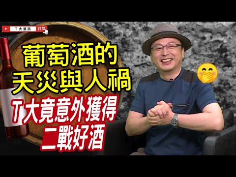 葡萄酒的人禍？！T大竟意外獲得二戰好酒！｜Ｔ大酒話｜第31集