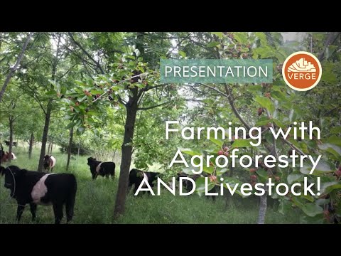 Silvopasture: How to Integrate Livestock with Agroforestry for Multiple Harvests