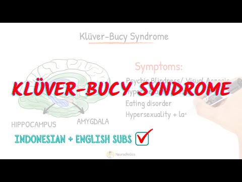 Kluver Bucy Syndrome detail explanation | Neuroaholics