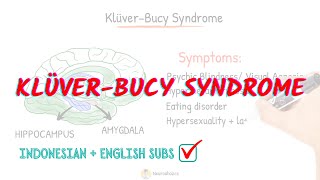 Kluver Bucy Syndrome detail explanation | Neuroaholics