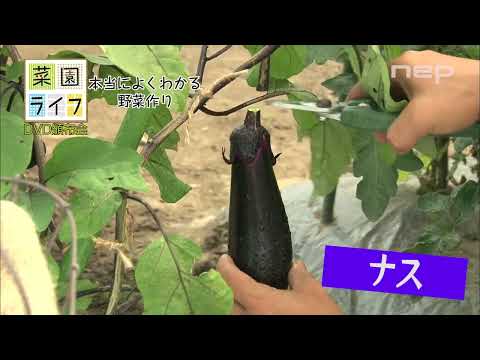 DVD頒布会「菜園ライフ」PR15秒