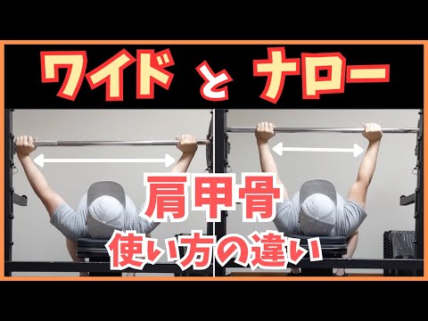 【ベンチプレス】ナローとワイドの肩甲骨の違いを徹底検証！【筋トレ】