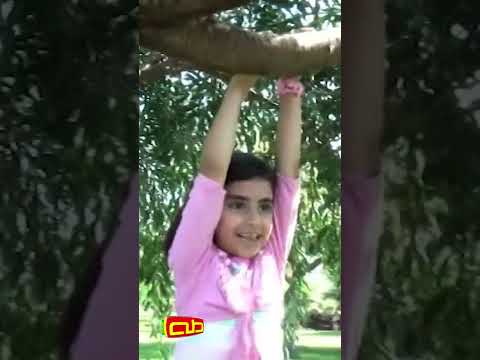 ينعاد عليكم | أناشيد للأطفال