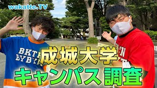 有名人学校という噂は本当だった！成城大学キャンパス調査！【wakatte TV】#570