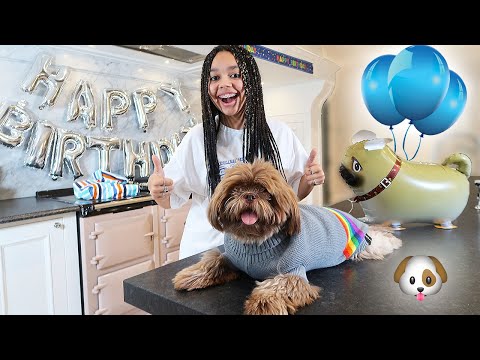 OUR DOG'S SURPRISE BIRTHDAY PARTY!! 🎈