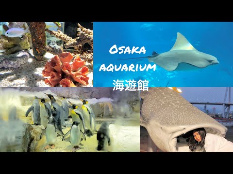 大阪海遊館 | osaka aquarium | japan | TRAVEL With Fashion | 大阪 | life in japan