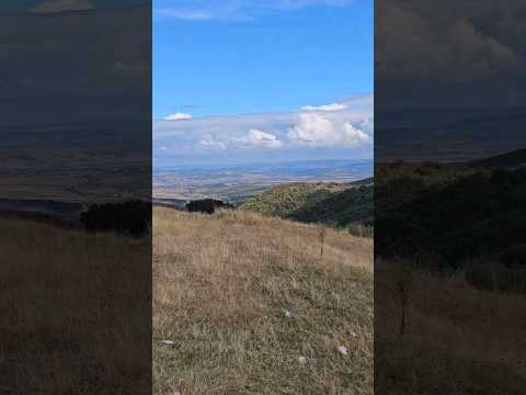 transalpina #short #shorts #transalpina #romantic #romania ♥️💛💙