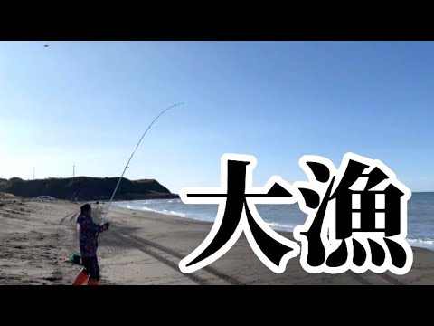 鮭もマツカワもカジカも釣れる最強サーフ‼️