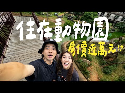 花費近萬元，睡在野生動物園裡是什麼樣的一個體驗？｜壹加壹