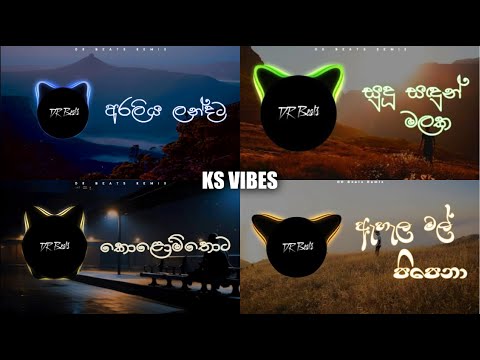 Best Sinhala Remix Songs Manoparakata | මනෝපාරකට සිංදු | Old Is Gold Sinhala Songs Collection