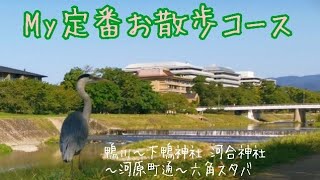 【京都さんぽ】Myお散歩コース