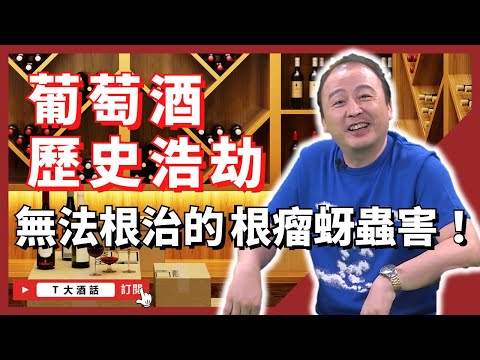 【葡萄酒歷史浩劫】無法根治的根瘤蚜蟲害？蟲害前的葡萄酒買就對了！｜Ｔ大酒話｜第40集