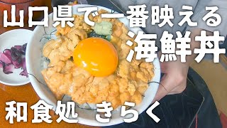 山口県で一番映える海鮮丼！和食処 きらく【山口県長門市】