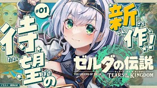 #01【ゼルダの伝説ティアーズオブザキングダム】ずっと待ってた待望の新作！ゼルダ大好き脳筋女騎士の冒険！【白銀ノエル/ホロライブ】