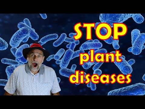 No More Sick Plants - Prevent Attacks from Pathogens