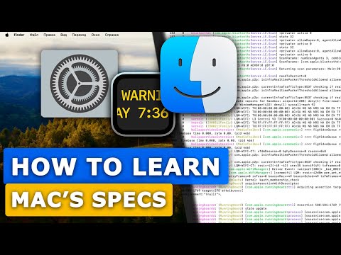 Understanding Your Mac's Specs and Health Status