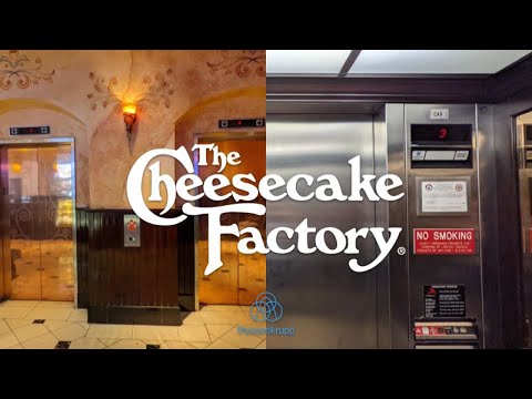 CLOSED: Thyssenkrupp Oildraulic elevators at The Cheesecake Factory - Tysons Galleria in Tysons VA