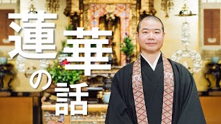 お坊さんのひとくち法話「蓮華の話」